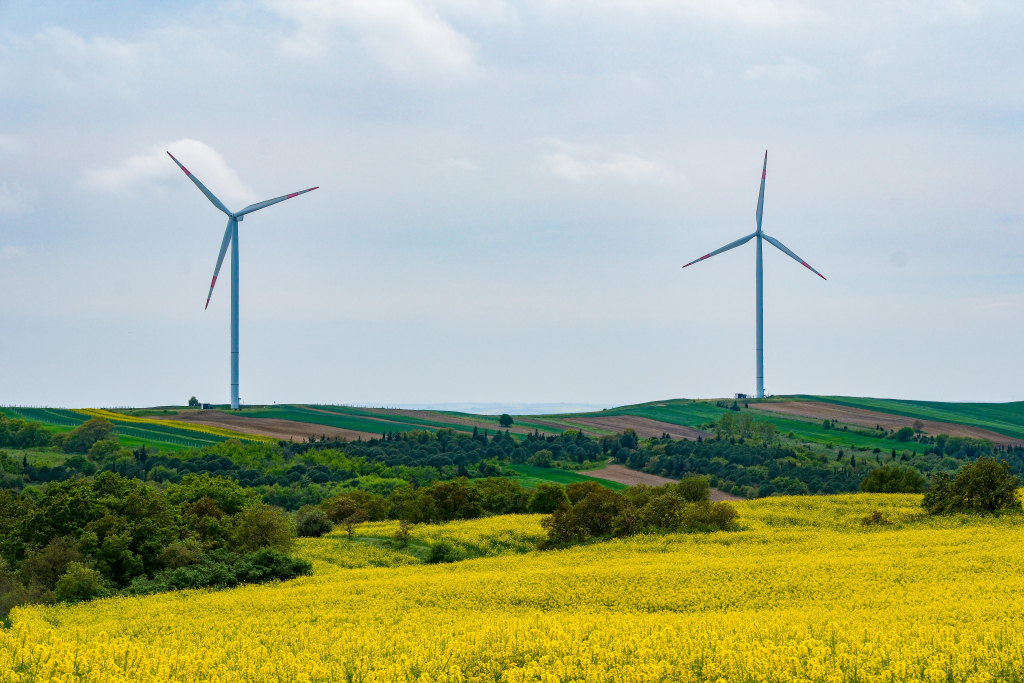 Championing Social Sustainability for Impactful ESG
