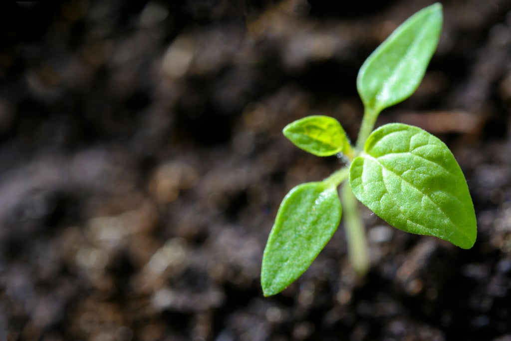 Market Trends and ESG_ How Early Adoption Drives Competitive Advantage